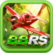 BBRS Game