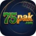 75PAK Game