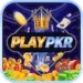 PLAYPKR Game